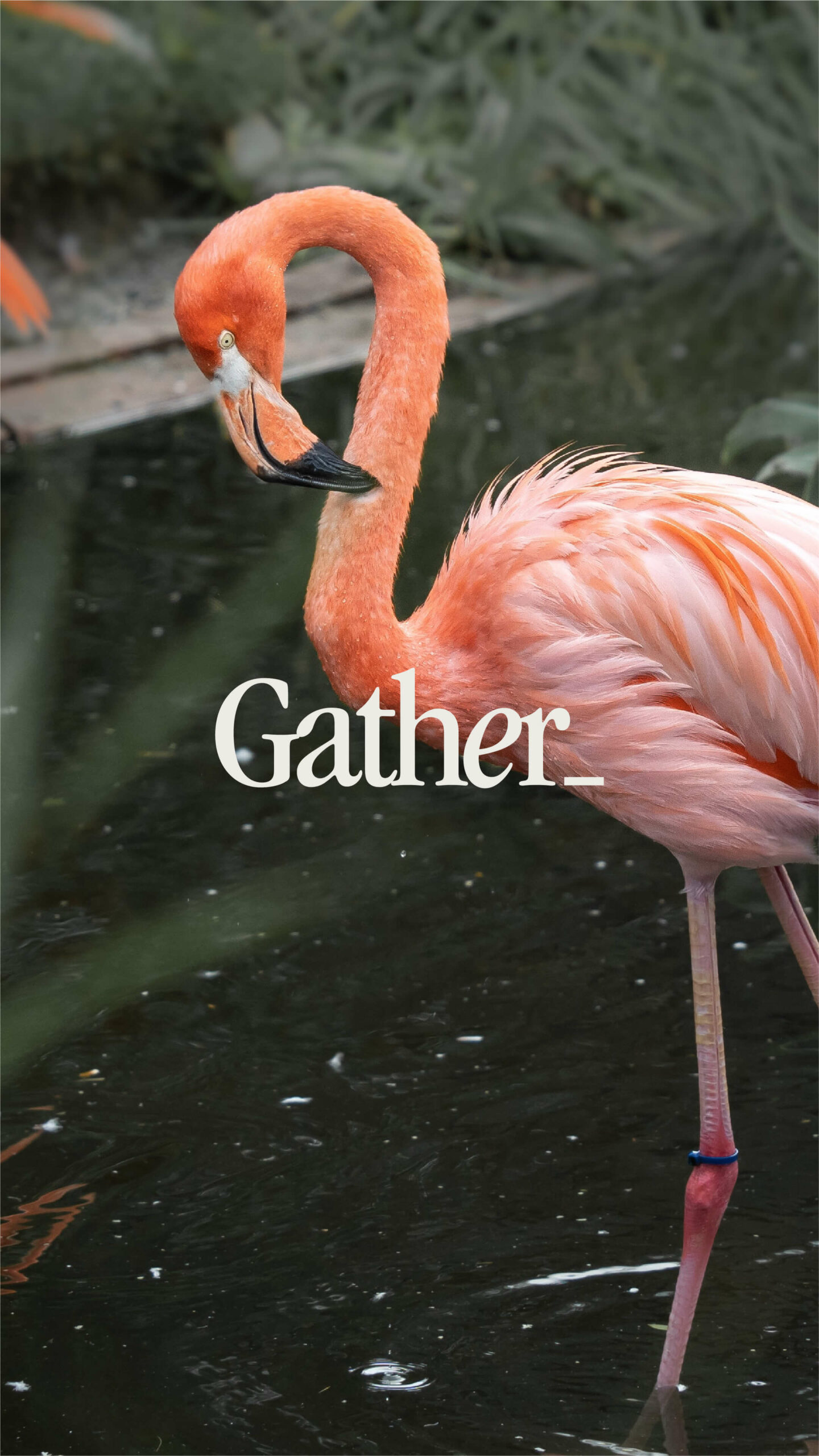GATHER_BrandIdentity-14