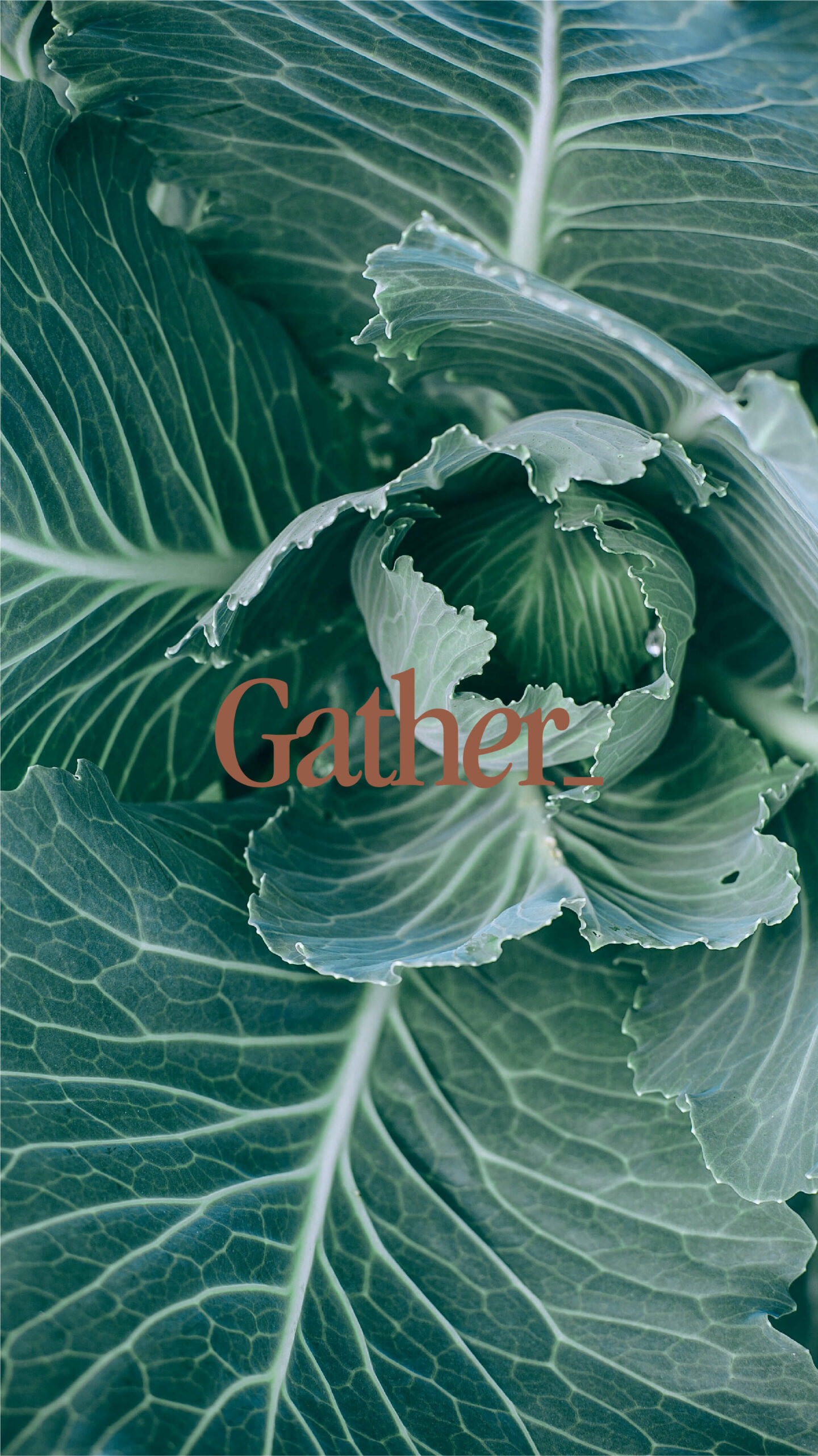 GATHER_BrandIdentity-17