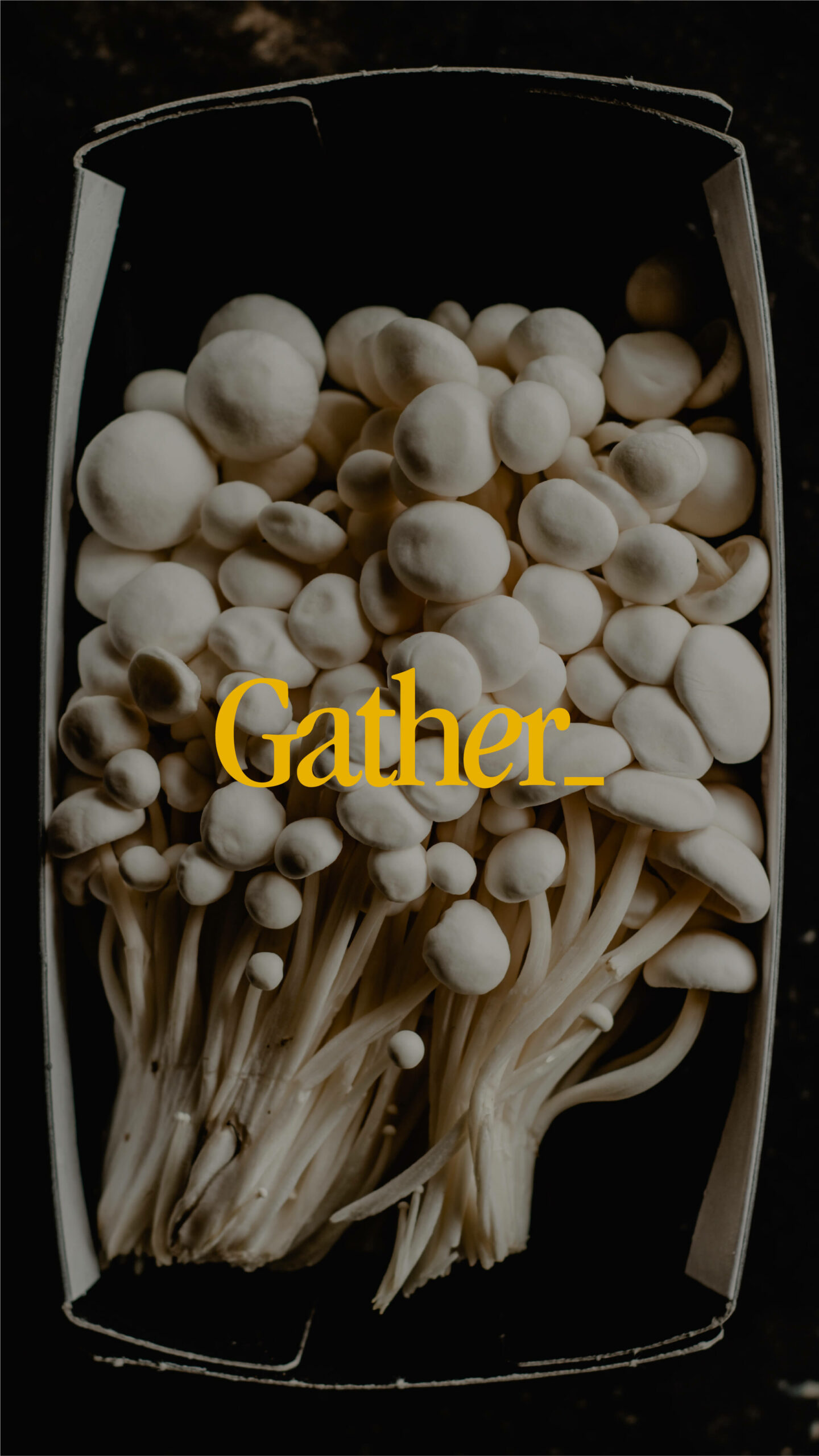 GATHER_BrandIdentity-20